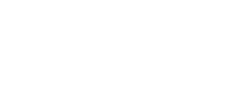 Darussalam Assets